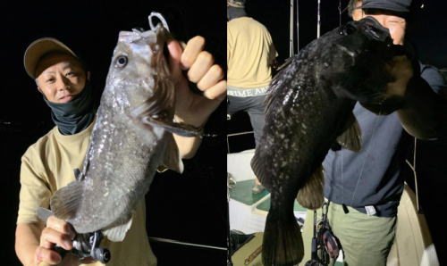 北海道小樽港釣り情報＜フッシングパパ＞